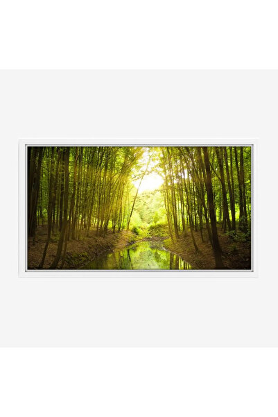 Tajridhome لوحة غابات - نهر هادئ - أشجار خضراء - مشمس - لوحات طبيعة - لوحات ك...