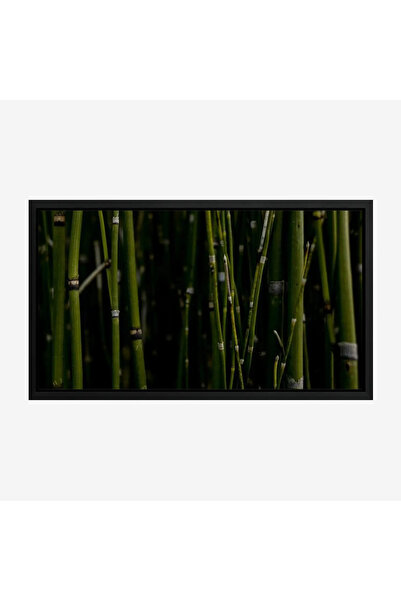 Tajridhome لوحة طبيعة هادئة - أعواد خضراء - إضاءة خافتة - هادئ - لوحات طبيعة ...