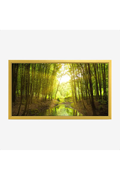 Tajridhome لوحة غابات - أشجار خضراء - ضوء الشمس - هادئ - لوحات طبيعة - لوحات ...