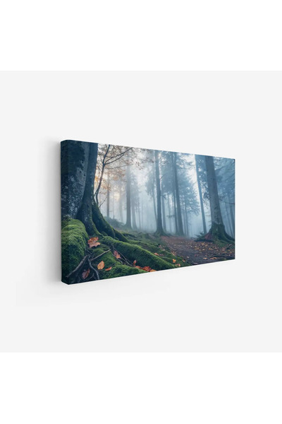 Tajridhome لوحة غابات - أشجار ضبابية - ألوان هادئة - غامض - لوحات طبيعة - لوح...