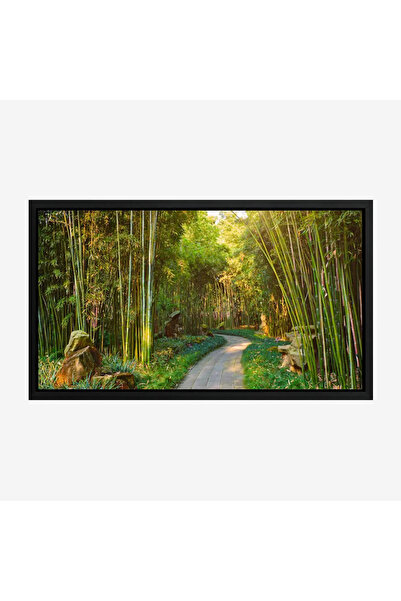 Tajridhome لوحة غابات - طريق بين الأشجار - ألوان خضراء زاهية - هادئ - لوحات ط...