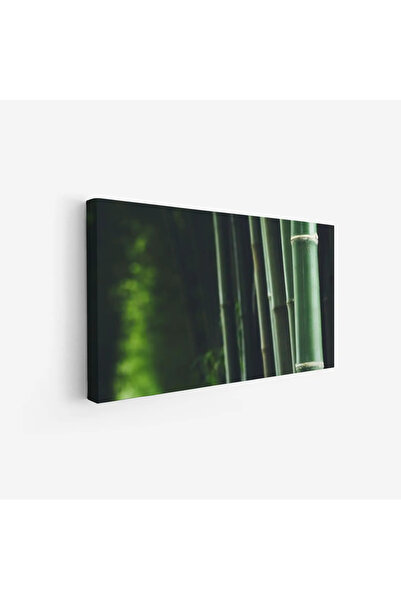 Tajridhome لوحة غابات - أعواد خيزران - ألوان خضراء - هادئ - لوحات طبيعة - لوح...