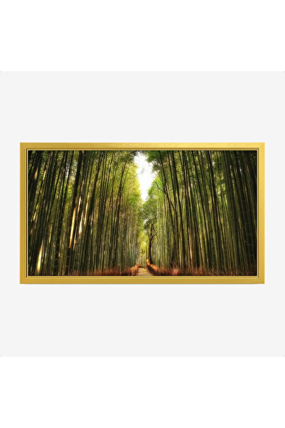 Tajridhome لوحة غابات - طريق بين الأشجار - ألوان خضراء زاهية - هادئ - لوحات ط...