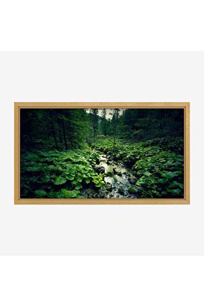 Tajridhome لوحة طبيعة هادئة - مجرى مائي - نباتات خضراء - هادئ - لوحات طبيعة -...
