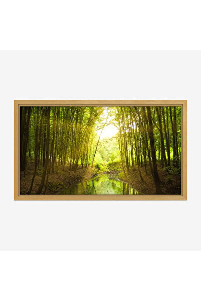 Tajridhome لوحة غابات - نهر هادئ - أشجار خضراء - مشمس - لوحات طبيعة - لوحات ك...