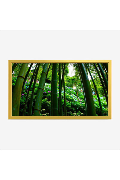 Tajridhome لوحة غابات - أعمدة خيزران - ألوان خضراء وزهور ملونة - هادئ - لوحات...