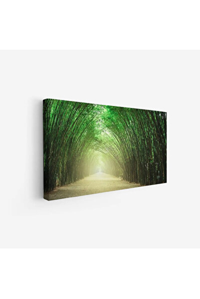 Tajridhome لوحة غابات - ممر أخضر - إضاءة طبيعية - هادئ - لوحات طبيعة - لوحات ...