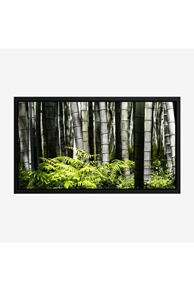 Tajridhome لوحة غابات - أعمدة خيزران - ألوان خضراء - هادئ - لوحات طبيعة - لوح...