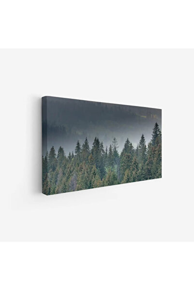 Tajridhome لوحة غابات - أشجار خضراء - ضباب خفيف - هادئ - لوحات طبيعة - لوحات ...