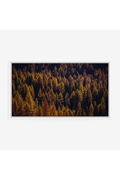 Tajridhome لوحة غابات - أشجار خضراء وصفراء - ألوان دافئة - هادئ - لوحات طبيعة...