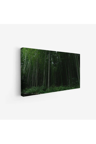Tajridhome Forest painting - green trees - soft lighting - tranquil - nature ...