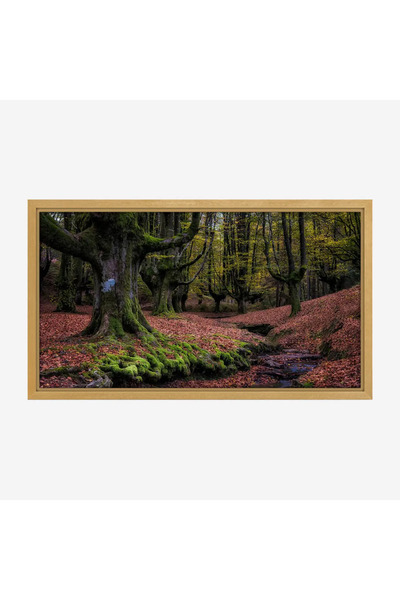 Tajridhome لوحة غابات - أشجار خضراء - أرضية مغطاة بالأوراق - هادئ - لوحات طبي...