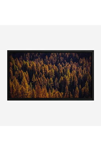 Tajridhome لوحة غابات - أشجار خضراء وصفراء - ألوان دافئة - هادئ - لوحات طبيعة...