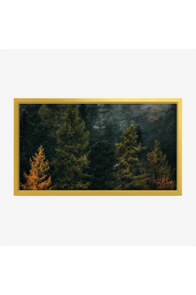 Tajridhome Forest painting - green trees - dark colors - serene - nature pain...