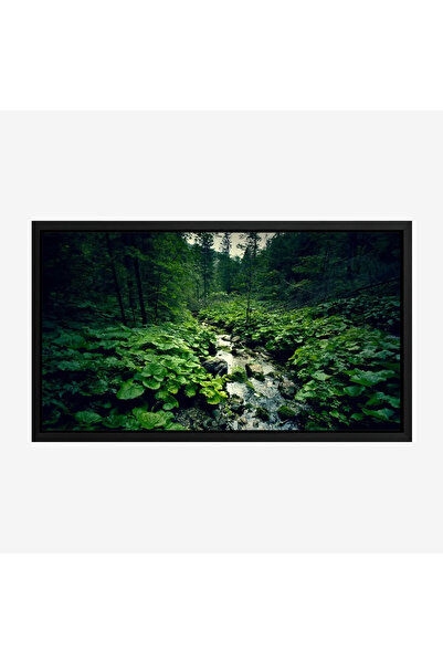 Tajridhome لوحة طبيعة هادئة - مجرى مائي - نباتات خضراء - هادئ - لوحات طبيعة -...