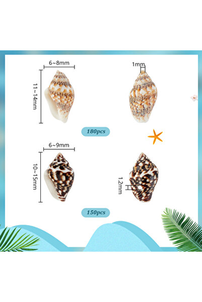 Choice Other AECH02-16252 400 Pcs 13mm-16mm Long Mixed Natural Cowrie Shell B...