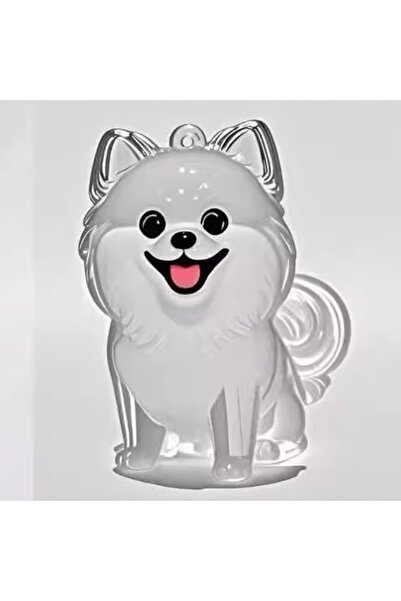 Choice style 5 Hanging Pet Keychain Pendant Memorial Resin Dog Hair Storage C...