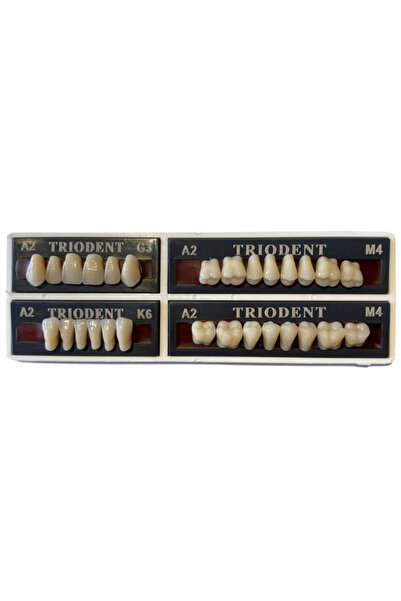 Ditok Dental TRIODENT 28 lik Takım Diş ( A2 - M4 ) G3