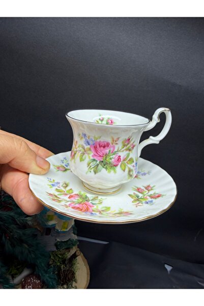 Royal Albert moss rose