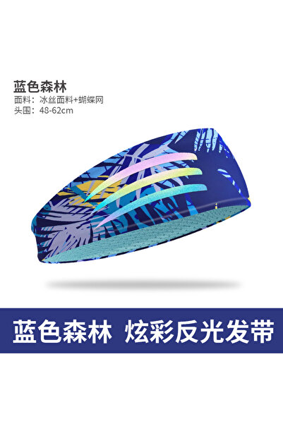 Choice blue WRELS Sports Headband Wicking Workout Workout Sweatband Non Slip ...