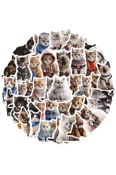 Choice 50 قطعة من ملصقات القطط اللطيفة المصنوعة من الفينيل المقاوم للماء، ملص...