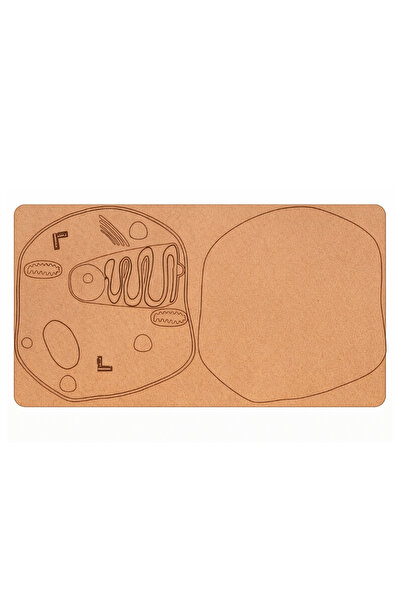 Fapatech Hayvan Hücresi Ahşap Eğitim Modeli Mdf | Fen Bilimlerideney Okul Ste...