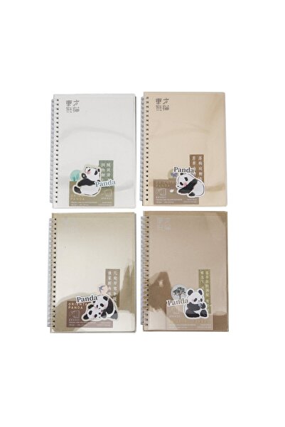 Midi دفتر تصميم باندا