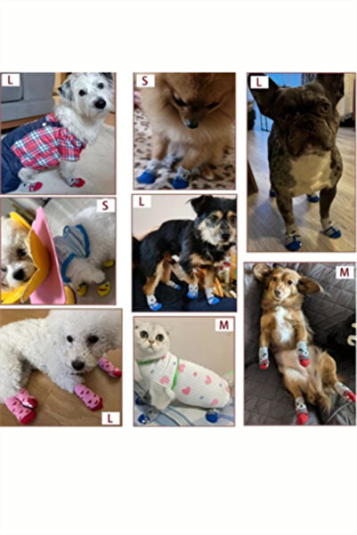 Trade Bazaar جوارب محبوكة مضادة للانزلاق للقطط والكلاب |   مجموعة من 4 جوارب ...