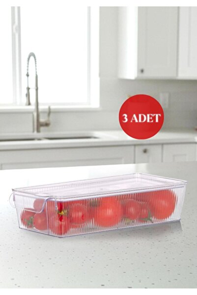 Okyanus Home 3 Pieces Midi Refrigerator Organizer and Storage Container with ...