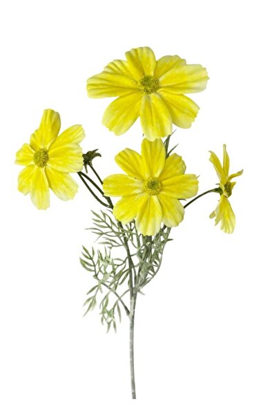 Nettenevime Yapay Çiçek Sarı Papatya 4Çiçekli Uzun Dal 63cm Gerçeksi Doku