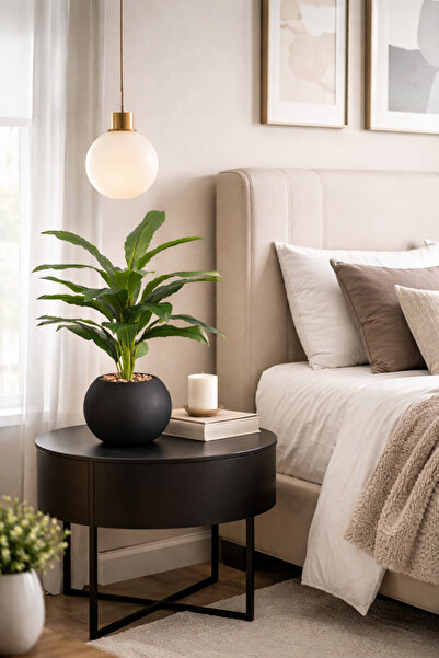 SADANHOME Small seedling with green leaves, plastic container, 60cm