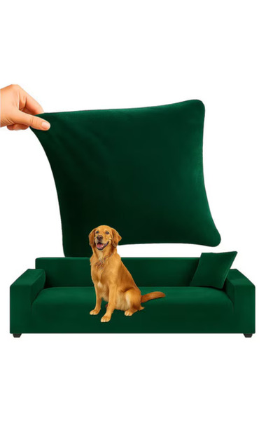 Ruhhy Ruhhy 3-seater sofa cover, Velour, Waterproof, Spandex, Set with pillow...