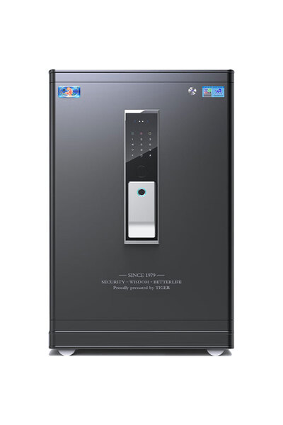 HAKAN KASA Platinum Core Serisi Yüz Okumalı & Parmak İzli Akıllı Çelik Kasa F...