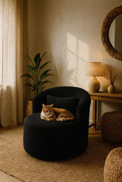 S Home Design Concept Cherry Döner Berjer, Yonsuz Kadife, Siyah, Pati dostu