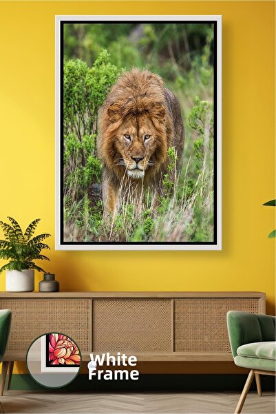 KOSS Dijital Εικόνα Σαφάρι με Λιοντάρι στη Φύση, Ζωγραφική με Πράσινο Χρώμα, ...