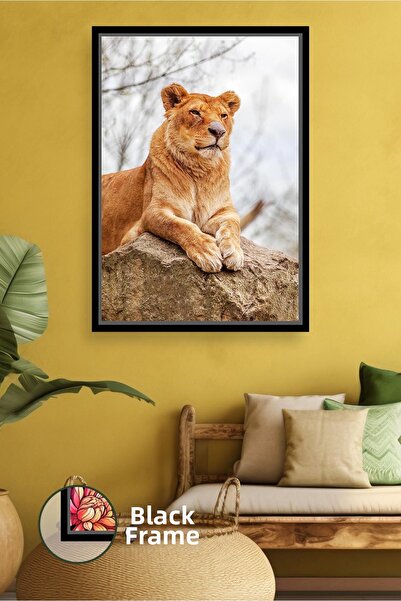 KOSS Dijital Εικόνα με θέμα τη φύση με θηλυκό λιοντάρι, ζωγραφική με ζώα, δια...