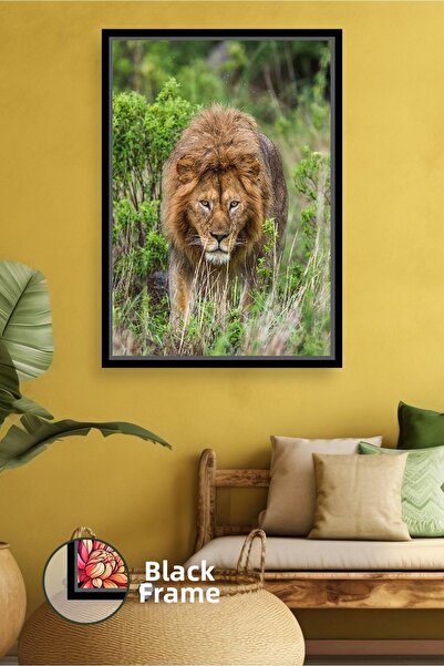 KOSS Dijital Εικόνα Σαφάρι με Λιοντάρι στη Φύση, Ζωγραφική με Πράσινο Χρώμα, ...