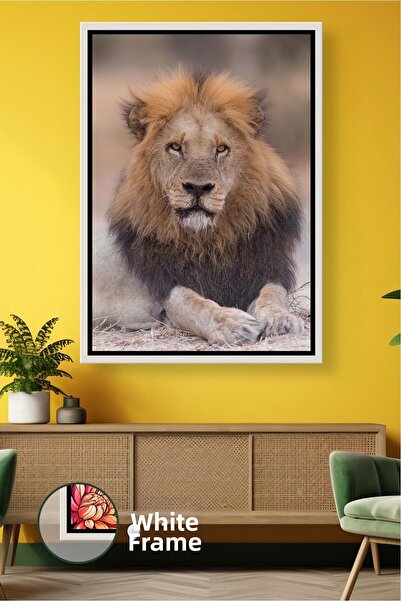 KOSS Dijital Poză cu leu în poziție înclinată, pictură cu animale de safari, ...