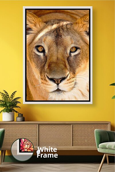 KOSS Dijital Pictură - Multicolor