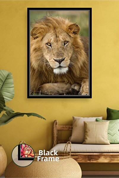 KOSS Dijital Pictură cu leu Decor de perete cu tematică animală Decor pentru ...