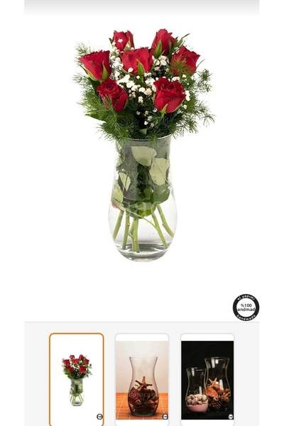 kurt41 Decorative Flower Pot Glass Vase, Height 21 cm