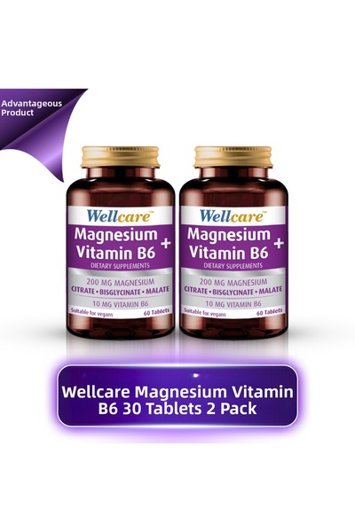Wellcare Magnesium Vitamin B6 30 Tablets 2 Pcs