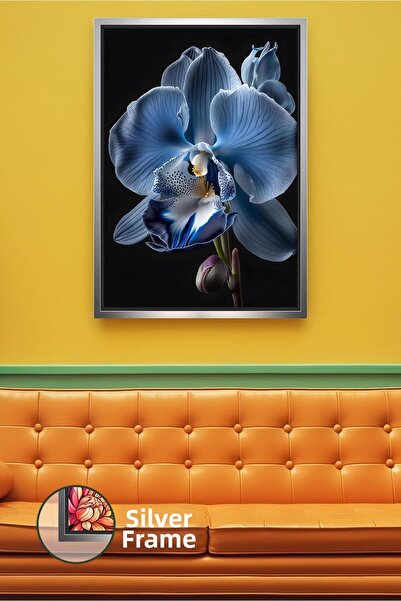 KOSS Dijital Floare de orhidee albastră, fundal negru, fotografie cu flori, d...