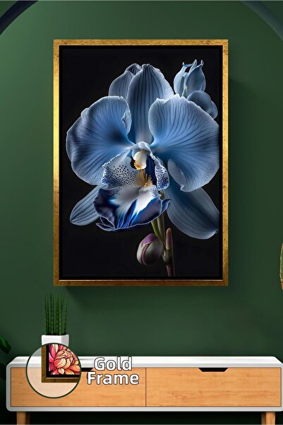 KOSS Dijital Floare de orhidee albastră, fundal negru, fotografie cu flori, d...