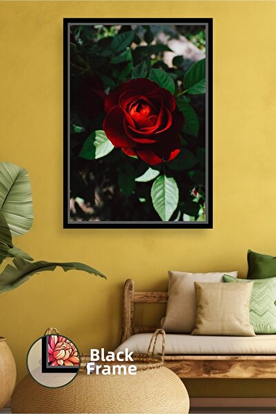 KOSS Dijital Stunning Home Decoration with Deep Red Rose Detail Impressive Wa...