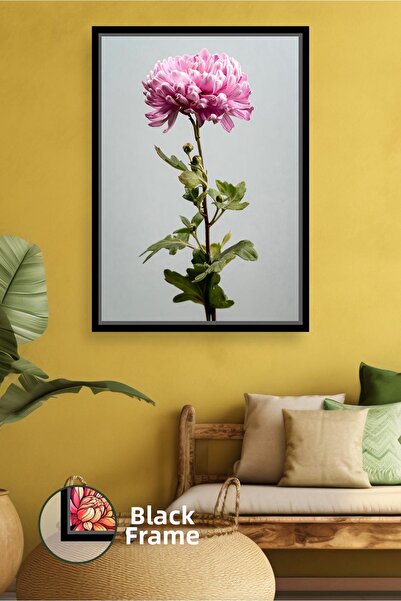 KOSS Dijital Crizantemă roz, un singur ramură, fundal deschis, decorare de pe...