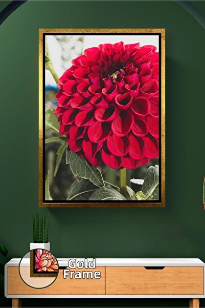 KOSS Dijital Floare de dahlia roșie, detaliată, în culori vii, fotografie nat...