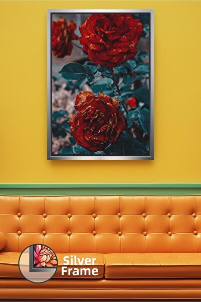 KOSS Dijital Floare de trandafir burgundă, plan apropiat, decorare romantică ...