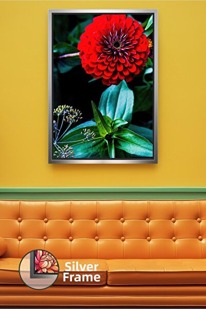 KOSS Dijital Floare roșie de zinia, colorată, cu tematică de grădină, decor d...