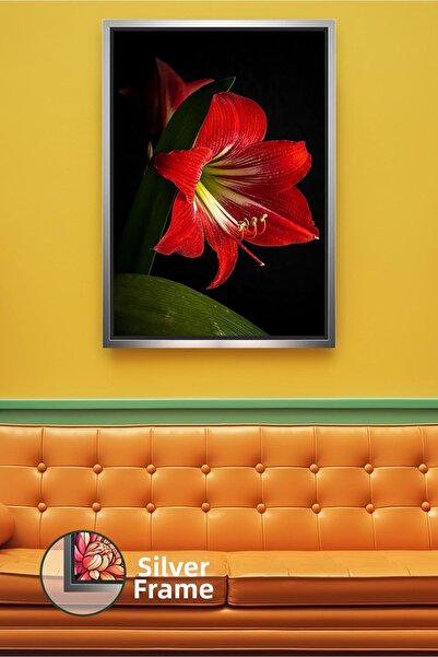 KOSS Dijital Pictură pe pânză înrămată cu design de flori de amaryllis roșu, ...